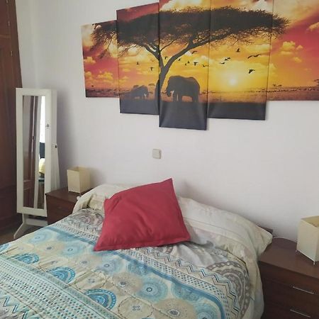 Habitacion Tranquila 마드리드 외부 사진